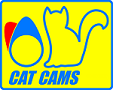 Cat Cams