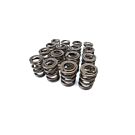 Skunk2 Alpha Series valve springs (K/F-serie engines) | 311-05-1380 | A4H-TECH.COM