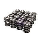 Skunk2 Alpha Series Klepveren/Klepschotels Kit (B-serie motoren) | 344-05-1300 | A4H-TECH.COM