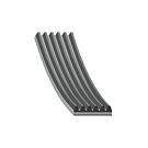 Febi multi rib belt with airco (Honda S2000 99-09) | 39790 | A4H-TECH / ALL4HONDA.COM