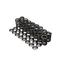 Brian Crower Valve springs / Steel retainer kit (Honda H22 engines) | BC0030S | A4H-TECH