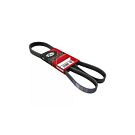 Gates Multi-rib belt (A/C) (Honda Integra 95-00 3/4drs) | GT-4PK803-1 | A4H-TECH / ALL4HONDA.COM