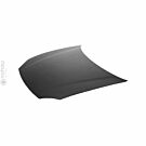 ABP hood (Del Sol 92-98) | HDF1201 | A4H-TECH / ALL4HONDA.COM
