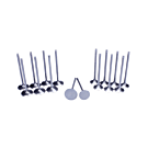 Supertech dish black nitrided intake / Inconel exhaust(turbo) valves std. siza (B-serie engines) | ST-HEVI-1000(8)/HIVN-1000(8) | A4H-TECH.COM 