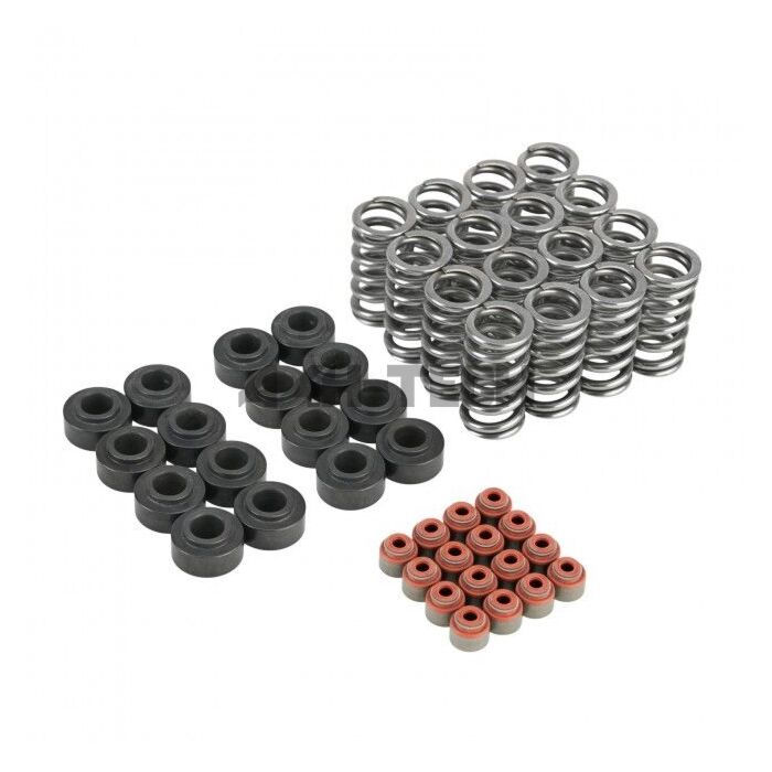 Skunk2 Ultra series valve springs / springs base / valve stem seals kit (Honda K20C engines FK2/FK8/FL5) main product photo