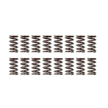 Brian Crower Ventilfedern (D-serie SOHC VTEC motor) | BC-BC1070 | A4H-TECH.COM