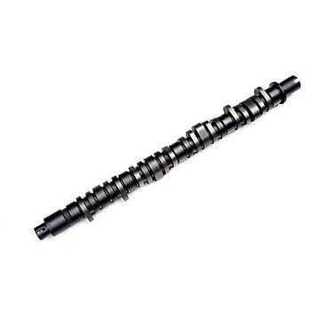 BLOX Racing Stage 1 Nockenwelle (D16Z6 VTEC motor) | BXCM-20103-Z1 | A4H-TECH.COM