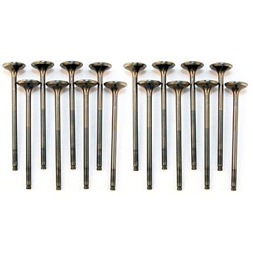 BLOX Racing Hoch Kompression Ventile (D-serie SOHC VTEC motor) | BXPT-20250-1 | A4H-TECH.COM