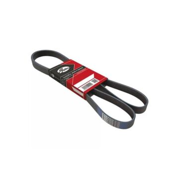 Gates Multi rib belt (Honda Civic 15-21 2.0 Turbo FK2/FK8) | GT-K060672 | A4H-TECH / ALL4HONDA.COM