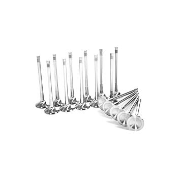 Ferrea 6000 series Kleppen (H22/H23 motoren) | FE-F6023/F6024 | A4H-TECH.COM
