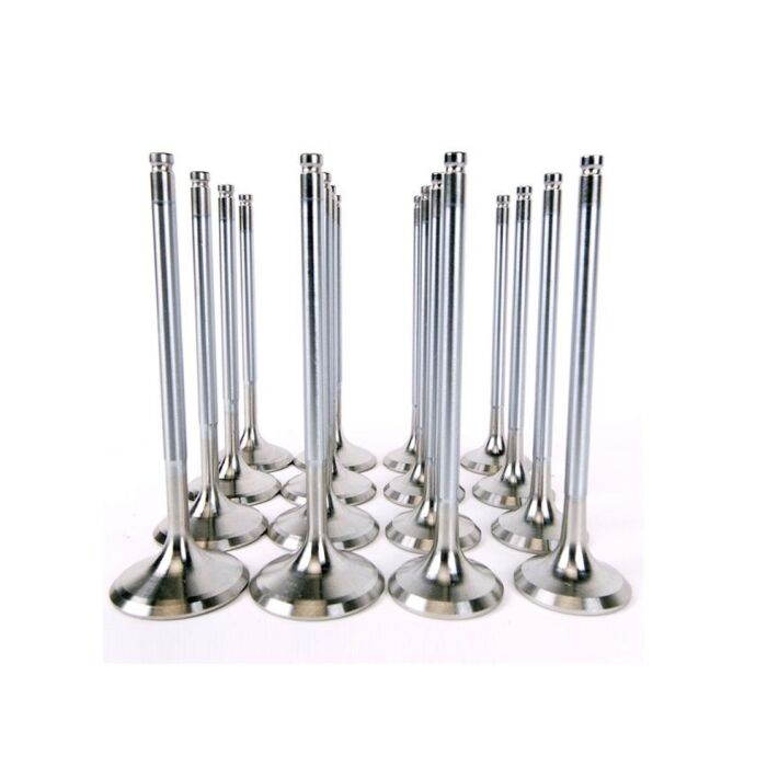 Skunk2 Alpha series Kleppen (D-serie SOHC VTEC motoren) | 310-05-1600 | A4H-TECH.COM