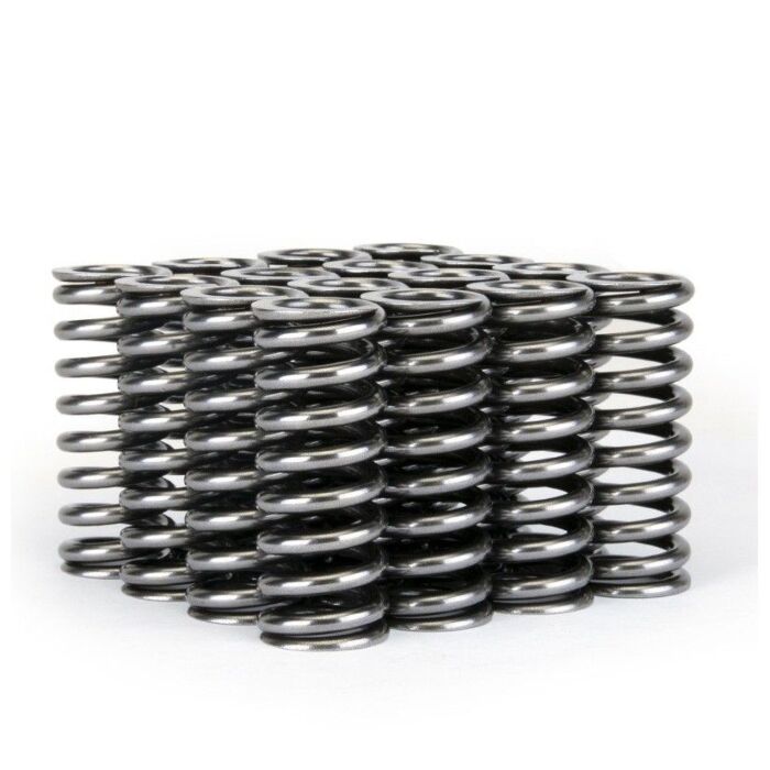 Skunk2 Alpha Series valve springs (D-serie SOHC VTEC engines) | 311-05-1345 | A4H-TECH.COM