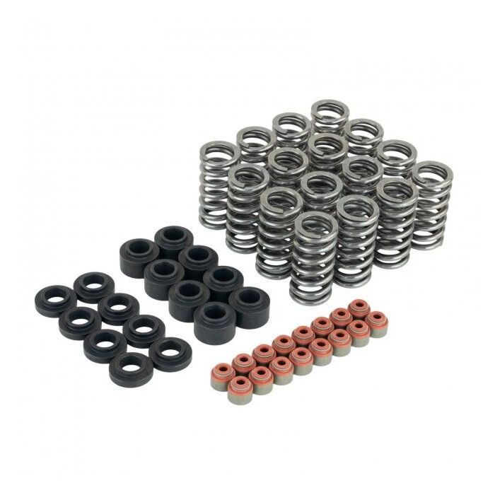Skunk2 Ultra series valve springs / springs base / valve stem seals kit (Honda Civic 17+ L15B7 1.5 Turbo FK7 engines) | 313-05-9400 | A4H-TECH / ALL4HONDA.COM