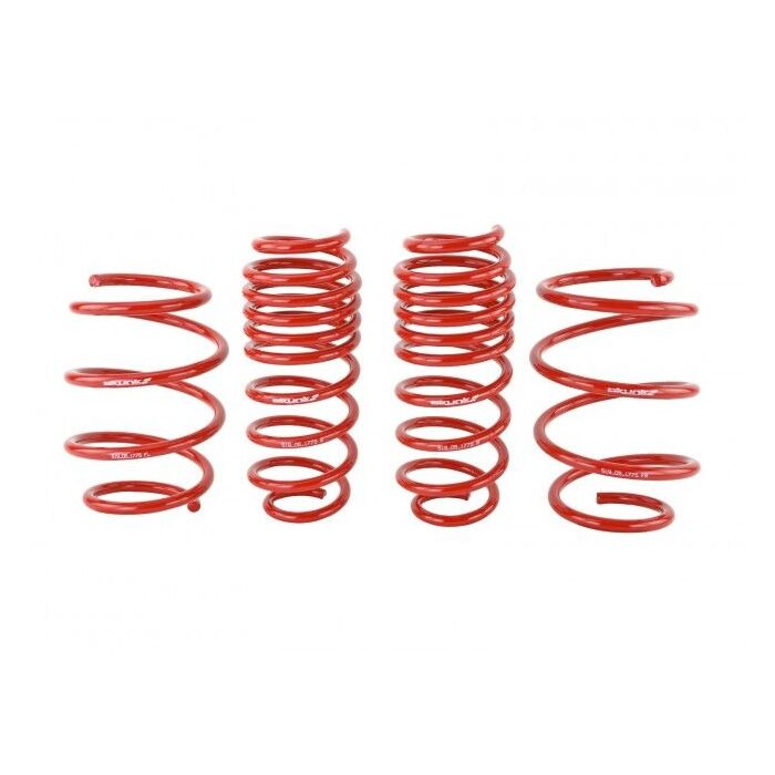 Skunk2 lowering springs 30-25mm (Honda Civic 07-12 Type R FN2)