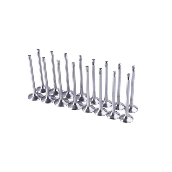Ferrea competition plus valves (B-serie engines) | FE-F1448P/F1449P | A4H-TECH.COM