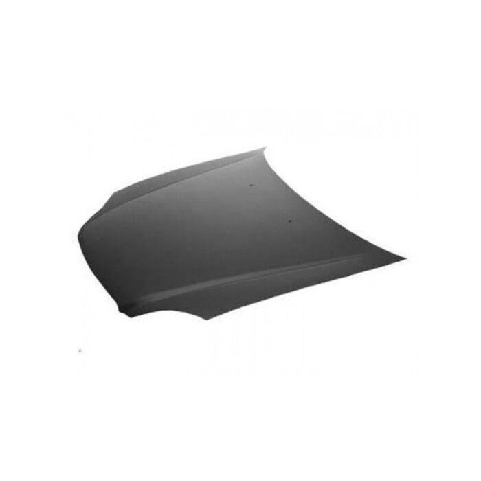H-Gear Light weight RR Polyester hood (Civic 99-00 2/3/4drs) | RR-HCHB-98H-01 | A4H-TECH.COM