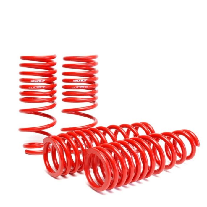 Skunk2 lowering springs 55/50MM (Civic 01-06 Type R) | 519-05-1575 | A4H-TECH.COM