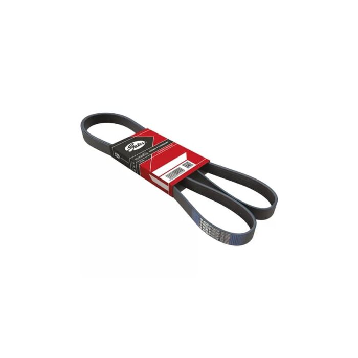 Gates Multi-rib belt (alternator/no A/C) (Honda Civic 01-06 5drs) | GT-6PK985 | A4H-TECH / ALL4HONDA.COM