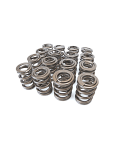 Ferrea Endurance roller rocker valve springs Kit (Honda B-Serie engines)