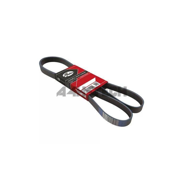 Gates Keilriem (klima) (Honda Integra 95-00 3/4drs) | GT-4PK803-1 | A4H-TECH / ALL4HONDA.COM main product photo