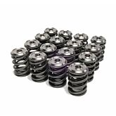 Skunk2 Alpha series valve springs/retainers kit (H22 engines) | 344-05-1360 | A4H-TECH.COM