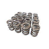 Ferrea high pressure valve springs Kit (B-serie engines) | FE-S10027-16 | A4H-TECH.COM