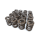 Ferrea alloy endurance doppelt Ventilfedern (K-serie motor) | FE-S10099-16 | A4H-TECH.COM