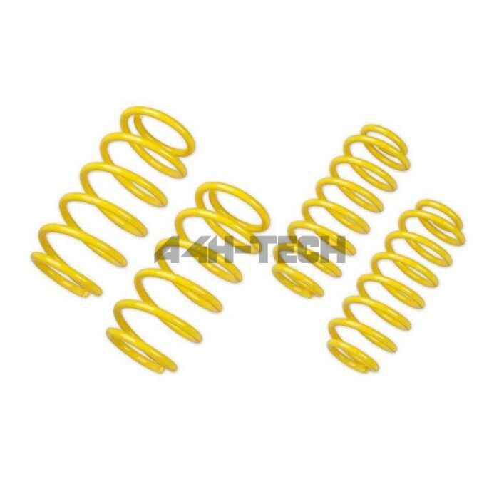 ST Suspension Verlagingsveren 30/30mm (Civic 13-14 3/5drs) | A4H-TECH main product photo