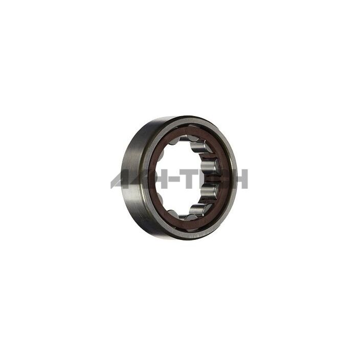 OEM Honda Final Drive lager voor 4.3 en 5.1 FD (Honda K20 motoren) | 91003-PPT-004 | A4H-TECH main product photo