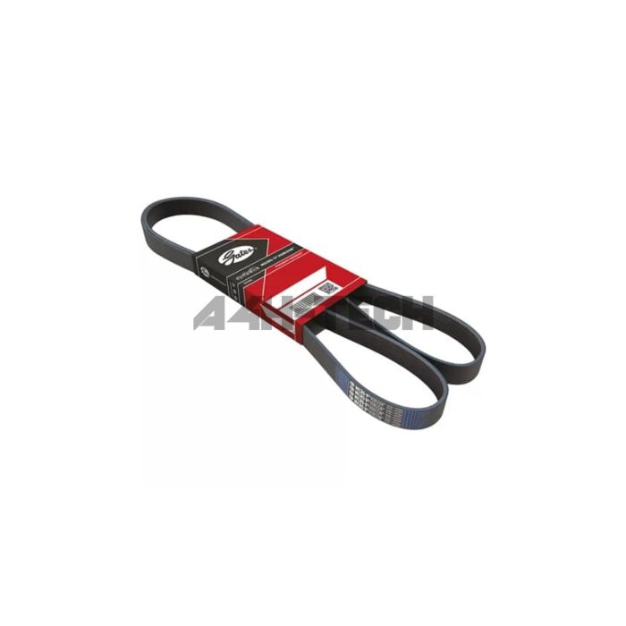 Gates Multi-rib belt (alternator/no A/C) (Honda Civic 01-06 5drs) | GT-6PK985 | A4H-TECH / ALL4HONDA.COM main product photo