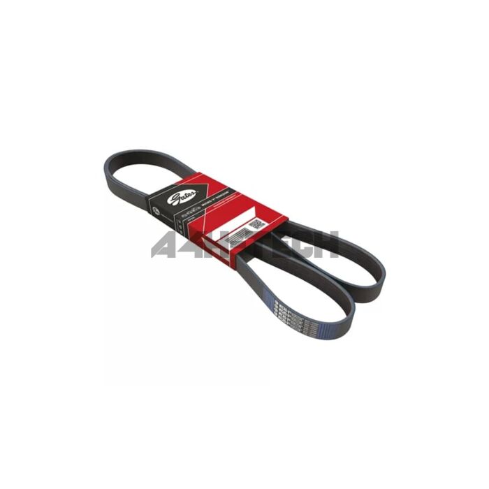 Gates Multi-rib belt (with A/C) (Honda Civic 01-12 3drs) | GT-7PK1645 | A4H-TECH / ALL4HONDA.COM main product photo