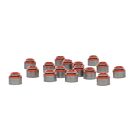 Skunk2 Viton klepseals 16x (Civic/CRX/Del sol/Integra/Prelude/Accord/S2000) | 312-05-0100 | A4H-TECH.COM