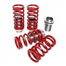 Skunk2 Coilovers/Einstellbar Tieferlegungsfedern (Integra 01-03) | 517-05-1690 | A4H-TECH.COM
