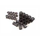 Cat Cams springs/retainers set (D16A9/D16Z5 engines) | CC-PAC-S90015/99412-X16 | A4H-TECH.COM