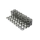 Supertech titanium klepschotels/klepveren/klepzitting set (D16A9/D16Z5 motoren)