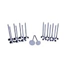 Supertech black nitrided standard compression intake valves (Honda K20C 2.0 Type R FK2/FK8/FL5 motoren) | A4H-TECH / ALL4HONDA.COM